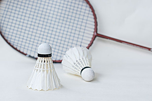 了解范可新 了解范可新